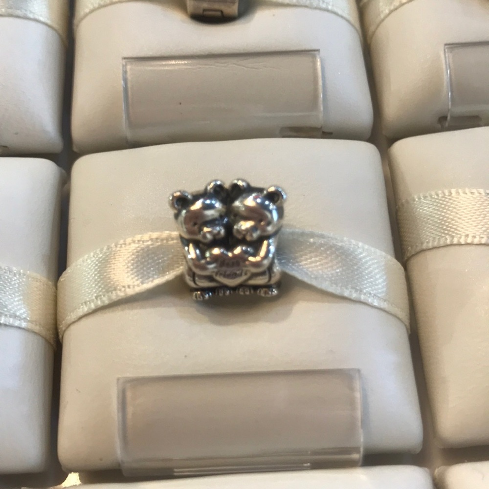 Best Buddies Charm